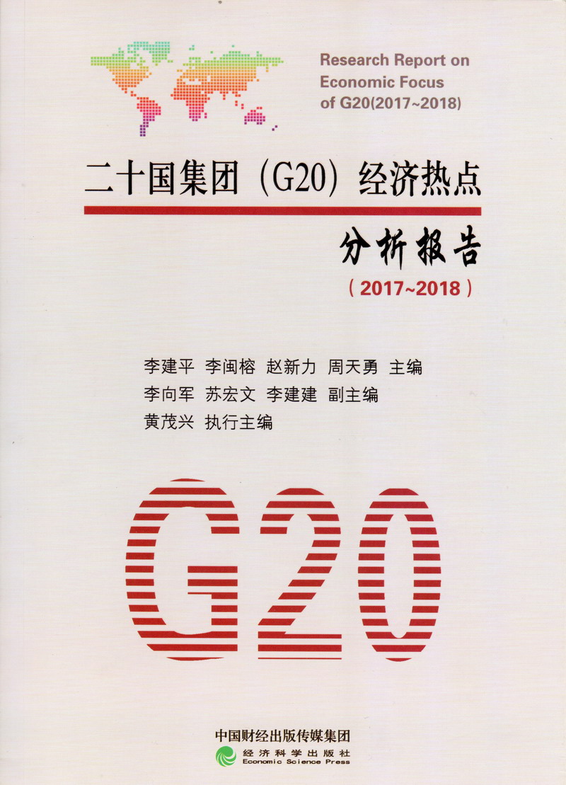 啊啊啊啊，国产片，用力插进来二十国集团（G20）经济热点分析报告（2017-2018）